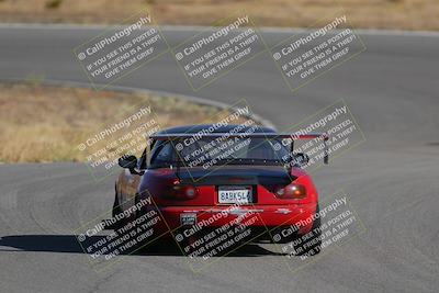 media/Nov-19-2023-Extreme Speed (Sun) [[bd0eec5490]]/Red/Back Shots/